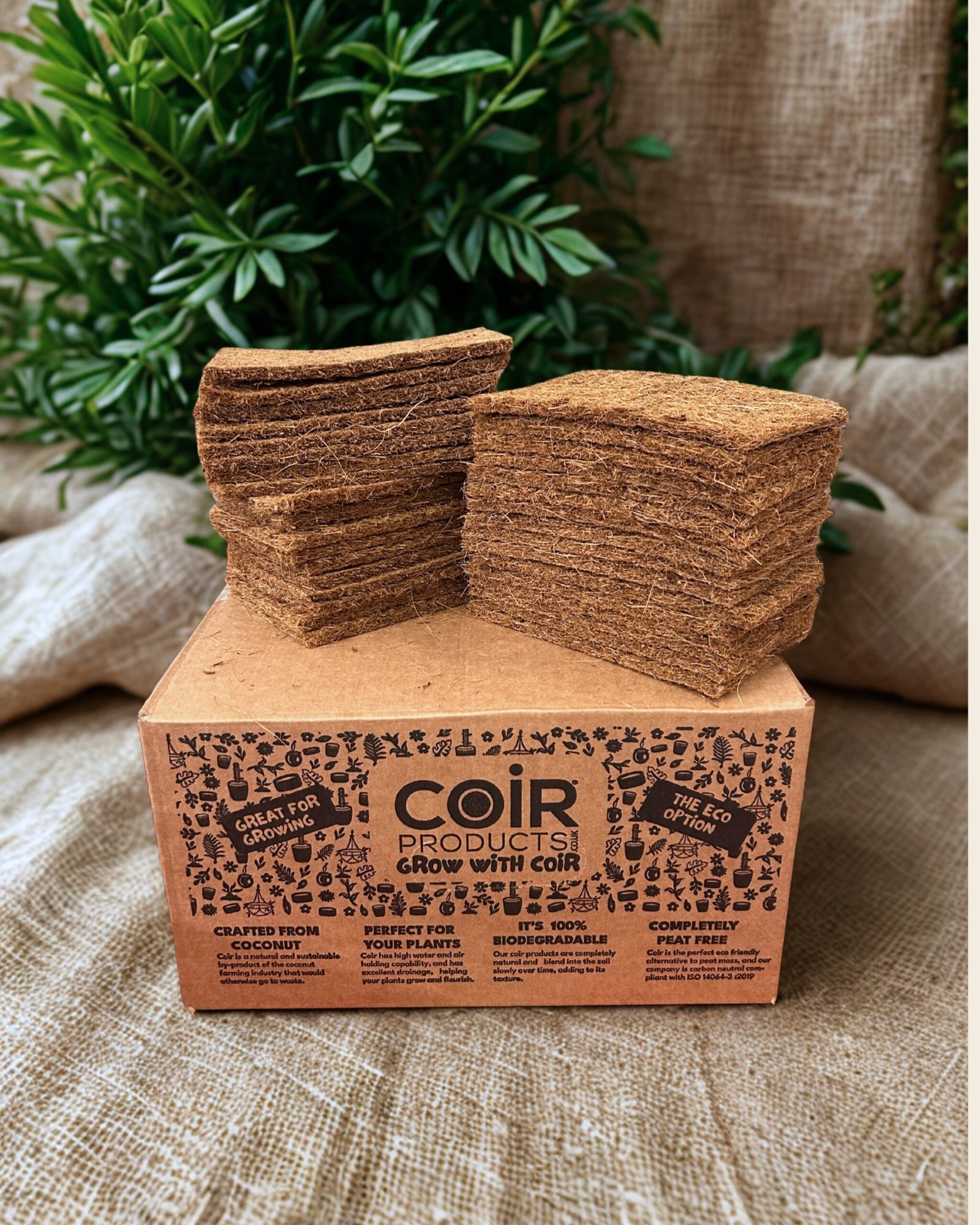 CoirProducts Microgreen Sheets | Grow Fresh, Healthy Microgreens With Ease