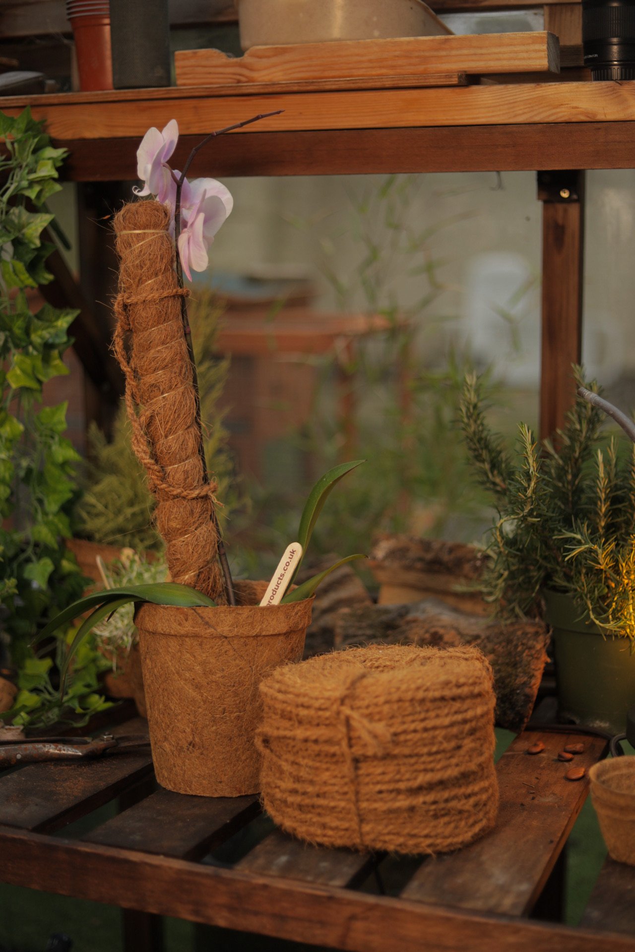 CoirProducts Coir Grow Poles | Moss pole | Coir Fibre Plant Support Stakes for Vegetables, Cheese Plants, Flowers & Climbing Plants - Image 2