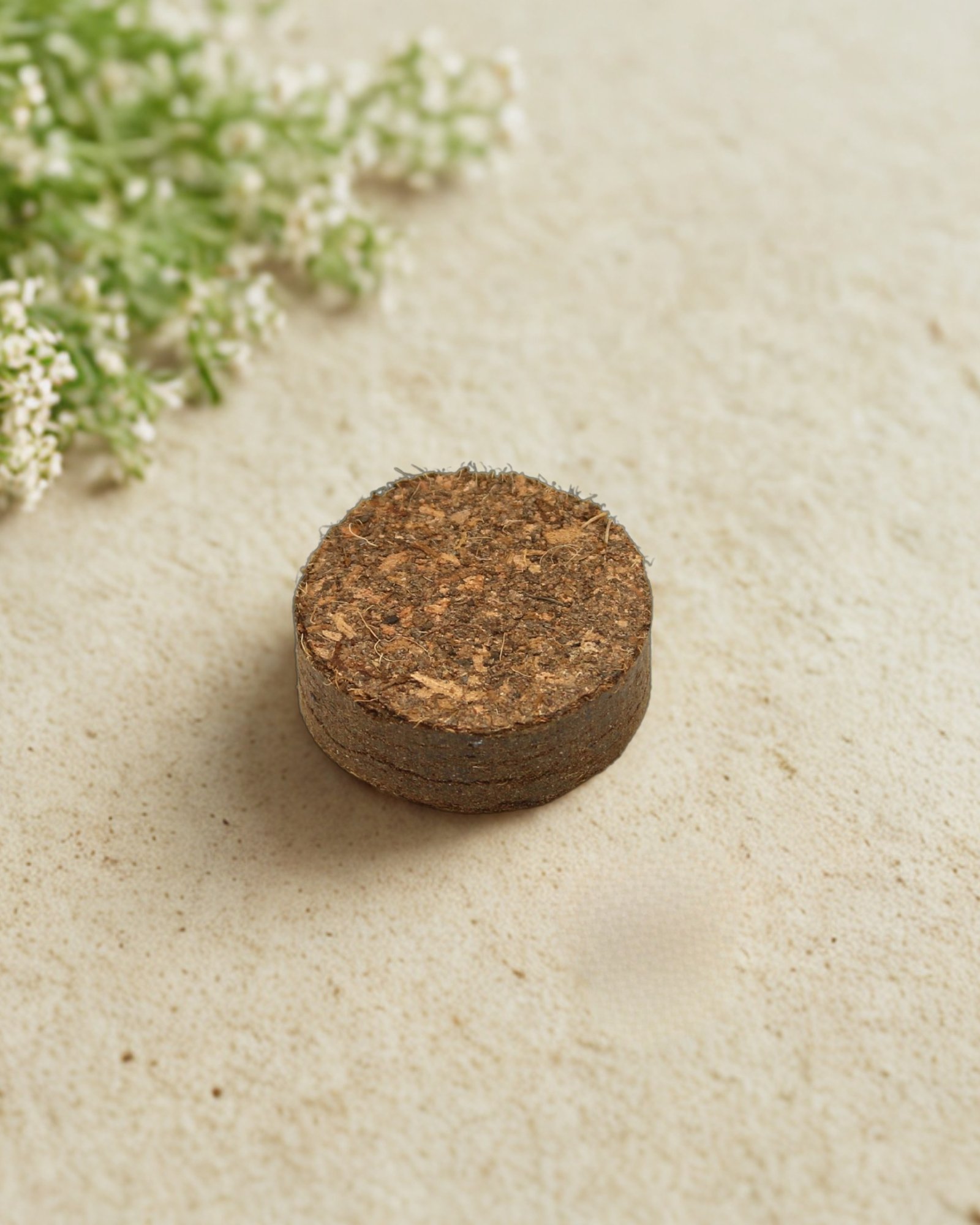 CoirProducts Coir Discs | Premium Peat-Free Seed Starter, - Image 4