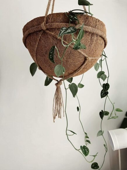 CoirProducts Hanging Baskets | Premium Biodegradable Coconut Fibre Baskets for Flowers, Herbs & Container Plants