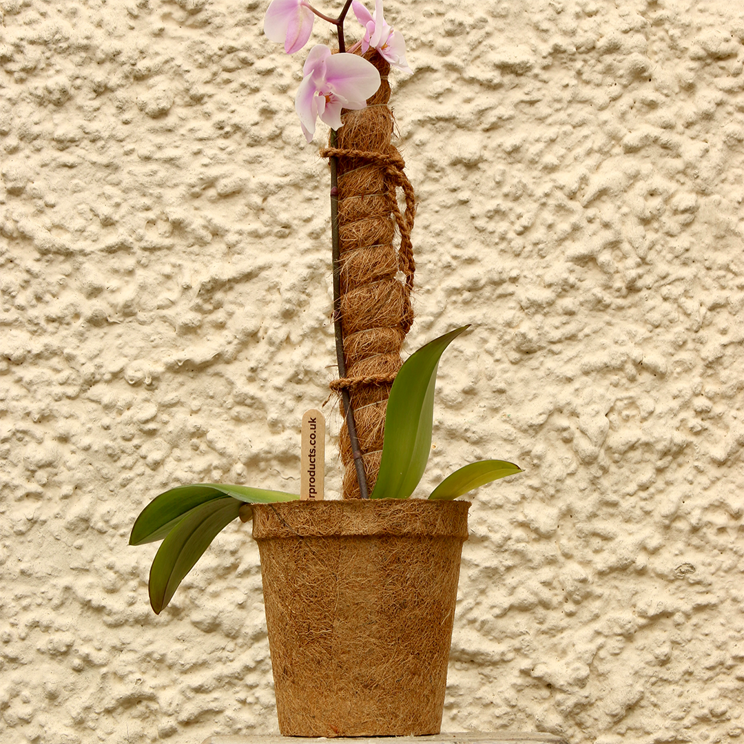 CoirProducts Coir Grow Poles | Moss pole | Coir Fibre Plant Support Stakes for Vegetables, Cheese Plants, Flowers & Climbing Plants - Image 5