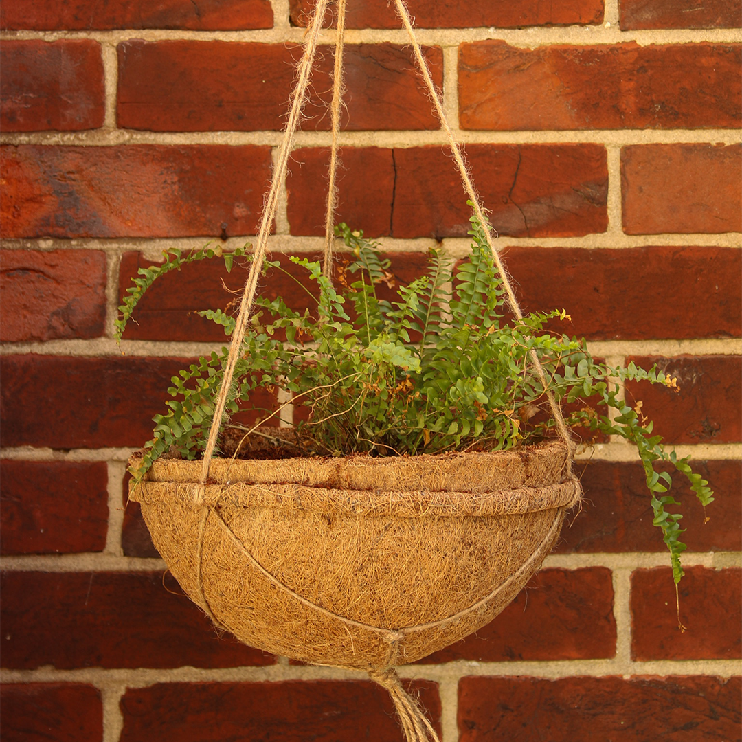 CoirProducts Hanging Baskets | Premium Biodegradable Coconut Fibre Baskets for Flowers, Herbs & Container Plants - Image 2