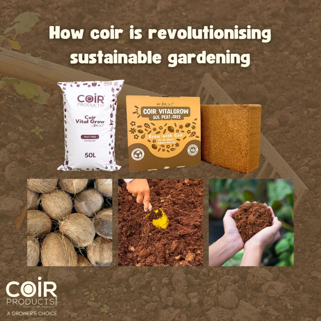 How coir is revolutionising sustainable gardening