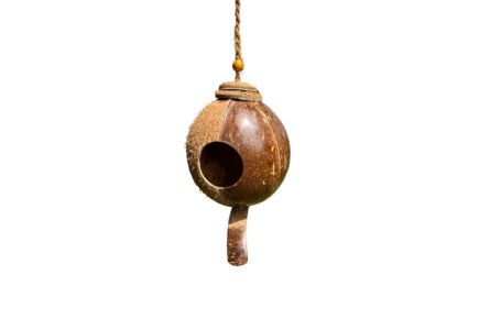 CoirProducts Shell Bird Nest