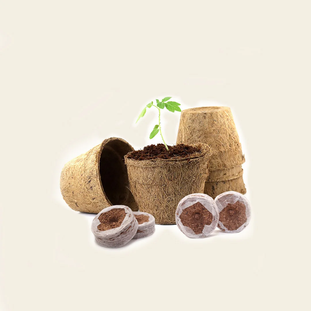 Grow herbs with Coir