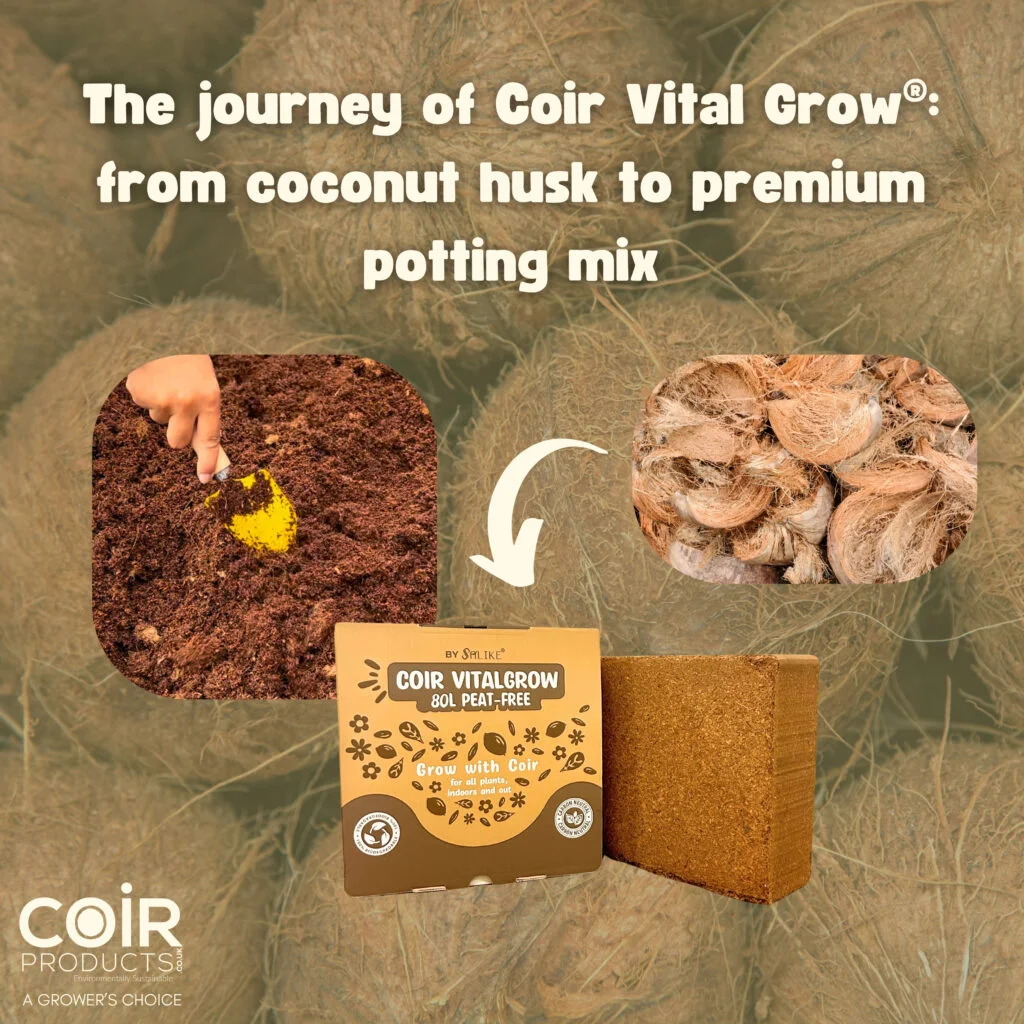 The journey of Coir Vital Grow®: from coconut husk to premium potting mix