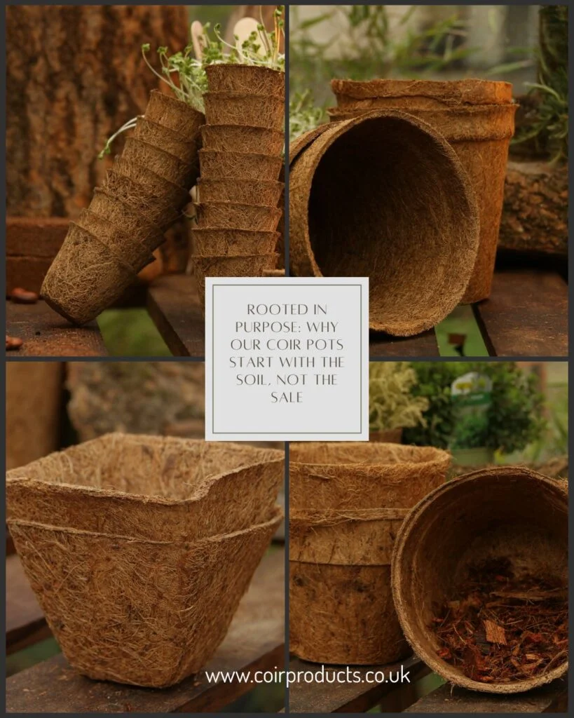 Rooted in purpose: why our coir pots start with the soil, not the sale