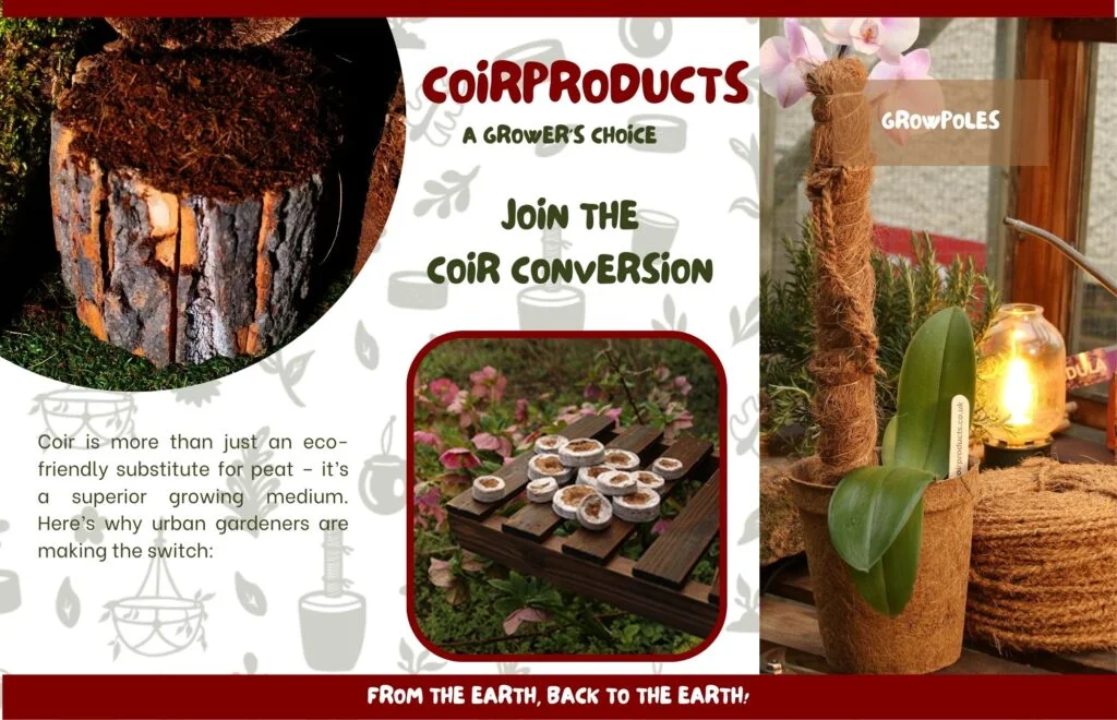 The coir revolution: transforming urban gardening with sustainable solutions