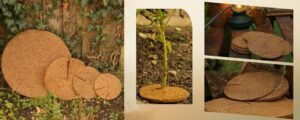 Coir Mulch Mats The Elegant Solution to Weed Control and Plant Care (1)