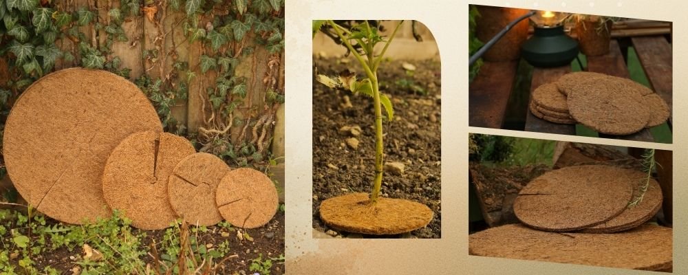 Coir Mulch Mats The Elegant Solution to Weed Control and Plant Care (1)