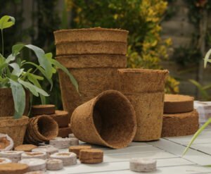 How to Use Coir in Your Garden This Growing Season